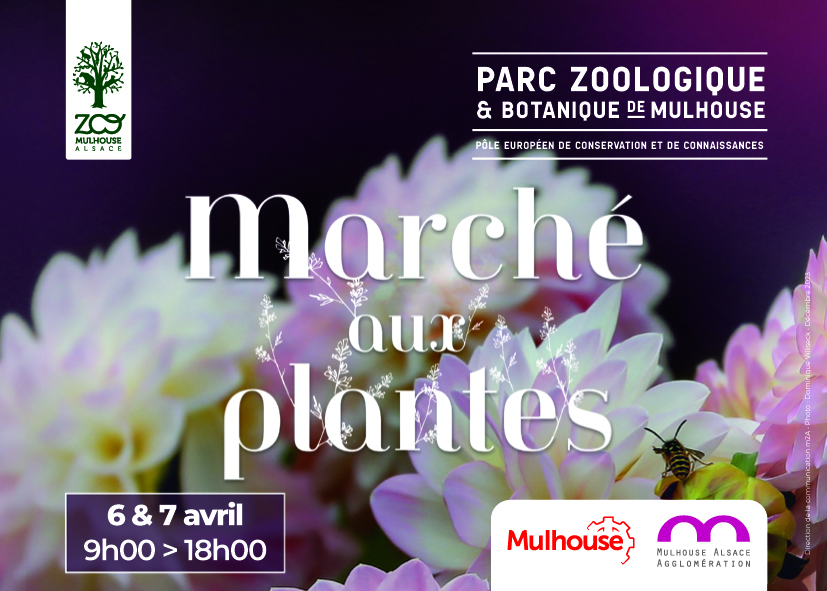 Marché aux plantes Zoo Mulhouse