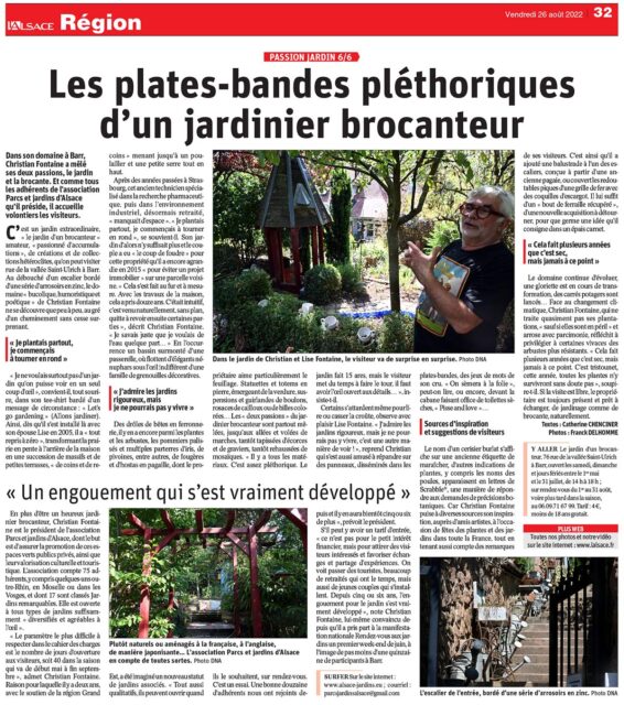 Reportage sur le Jardin d’un Brocanteur dans L’Alsace