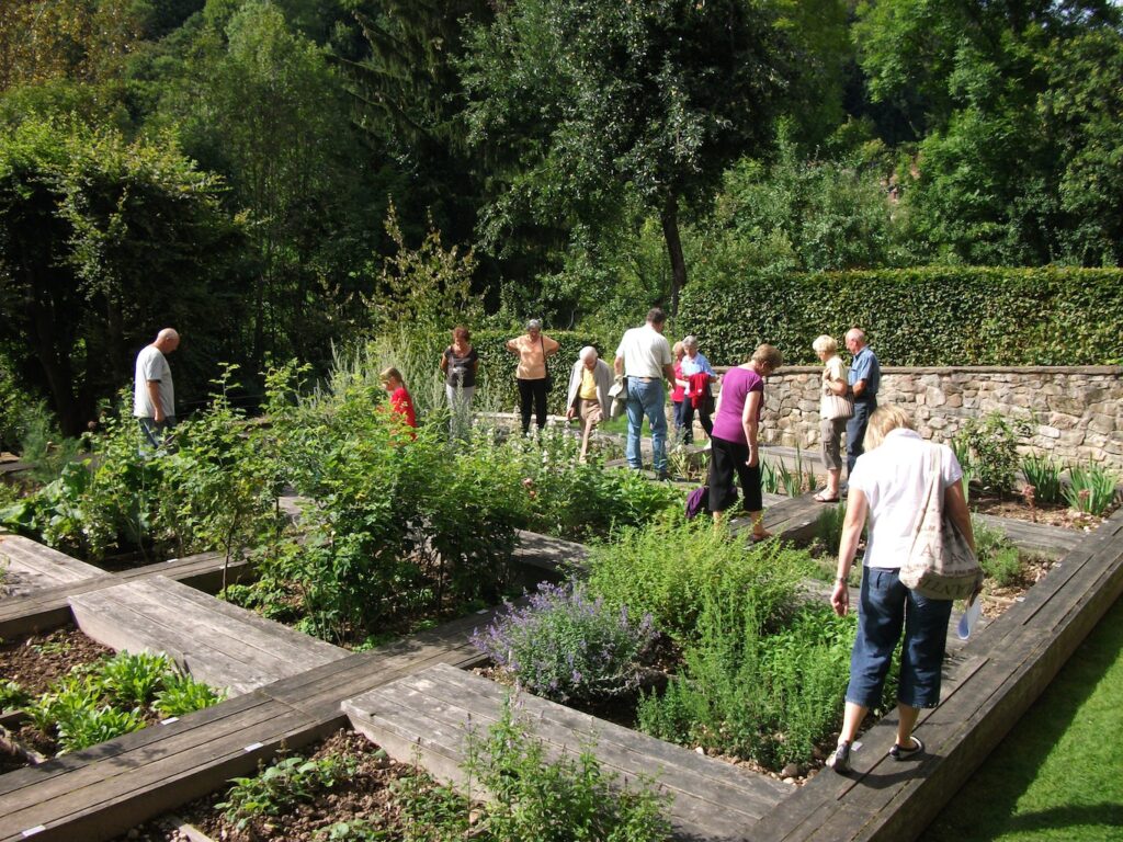 Jardins du Musée J.F. Oberlin - Waldersbach - Parcs et Jardins d'Alsace