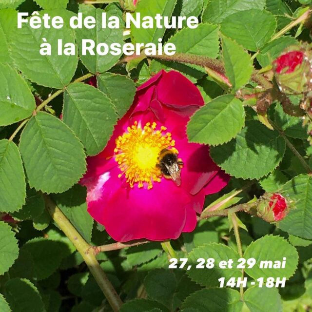 Fête de la Nature à la Roseraie