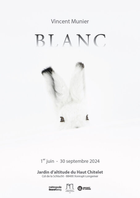 Blanc, exposition de Vincent Munier