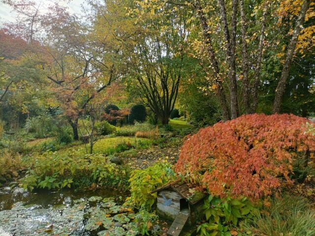 Ambiance automnale au Jardin de Marguerite