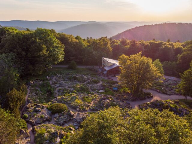 Jardin d’altitude du Haut Chitelet