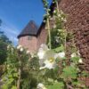 Jardin médiéval du Château du Haut-Kœnigsbourg