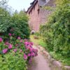 Jardin médiéval du Château du Haut-Kœnigsbourg