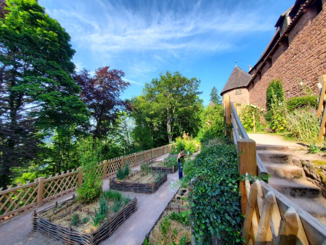 Jardin médiéval du Château du Haut-Kœnigsbourg