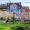 Colmar