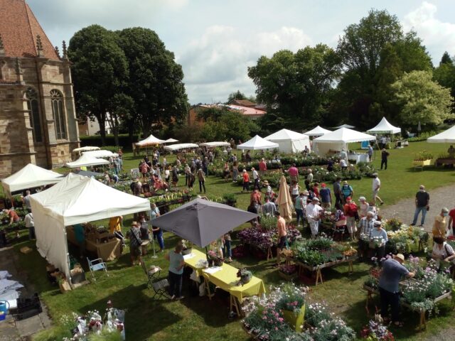 Plantes en fête à l’Abbaye d’Autrey