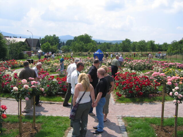 18ème Fête des roses à la Roseraie de Rosheim