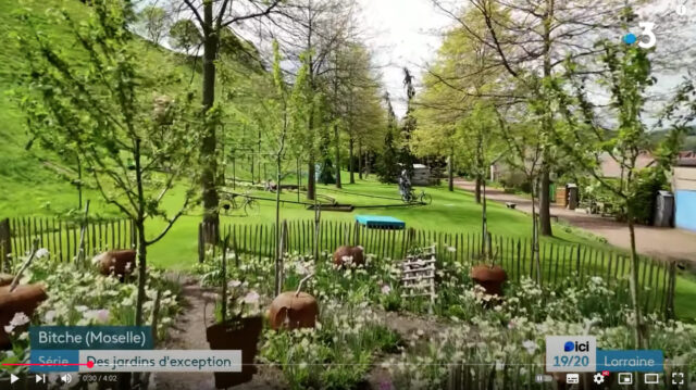 Reportage sur le Jardin pour la paix à Bitche – France 3