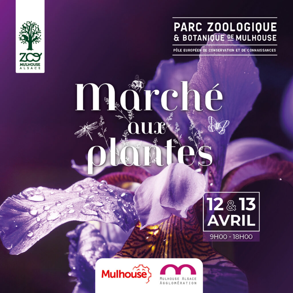 Marché aux plantes 2025 au Parc Zoologique et Botanique de Mulhouse