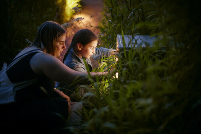 Les Fééries Nocturnes au Parc de Wesserling