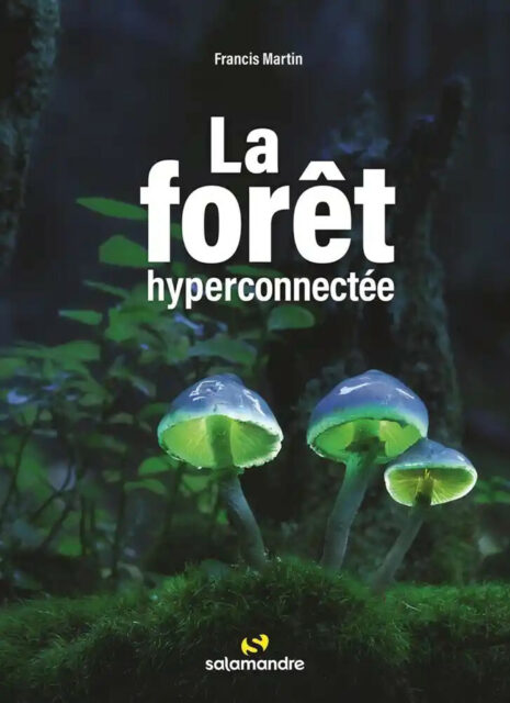 La Forêt Hyperconnectée