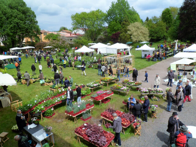 Plantes en fête à Autrey