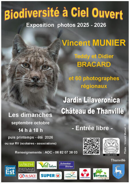 Exposition "Biodiversité à ciel ouvert" à Lilaveronica
