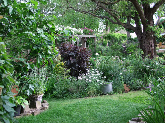 Farandole pour un curieux