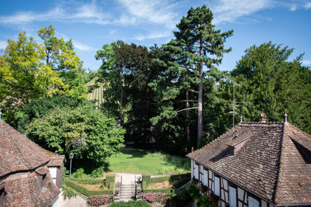 Jardin du Musée de la Folie Marco
