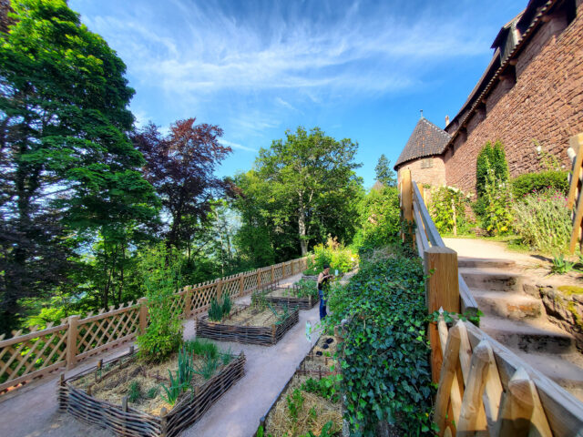 Rendez-vous aux jardins, Haut-Kœnigsbourg