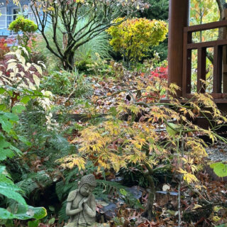 Jardin Le Paradis, Arzviller