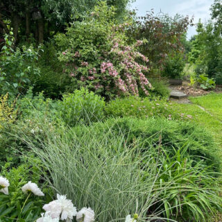 Jardin Le Paradis, Arzviller