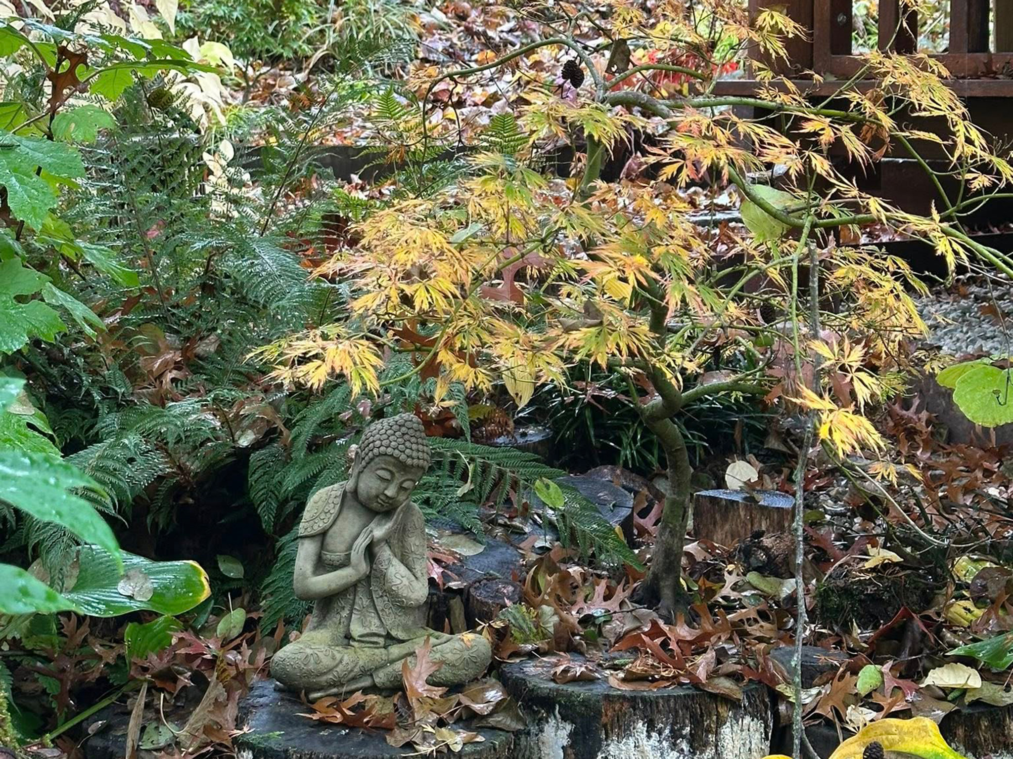 Jardin Le Paradis, Arzviller