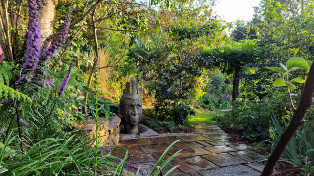 Une Figue dans le Poirier