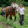 Travail champs, Écomusée d'Alsace, Ungersheim © GerhardHEINZE