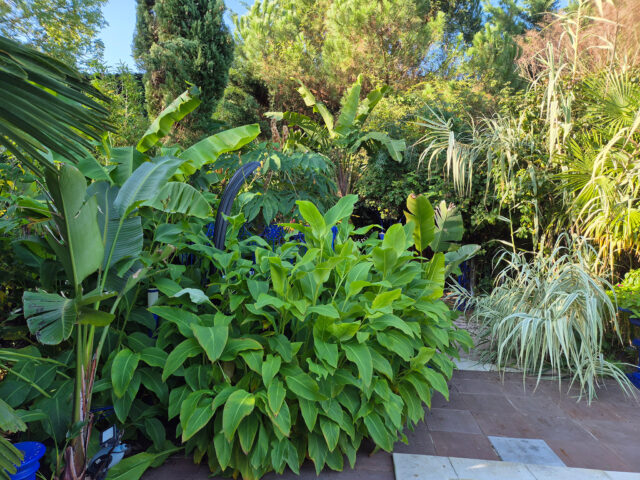 Jardin exotique de Bollwiller