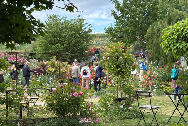 Portes ouvertes à l'Iriseraie