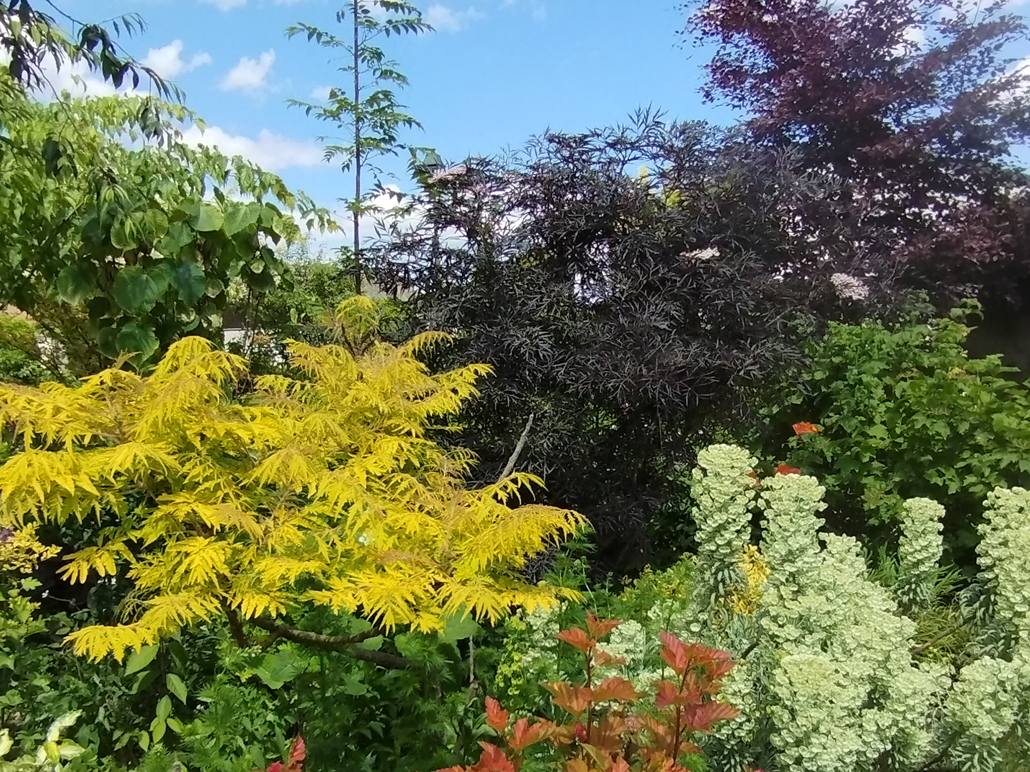 Le Jardin des Quatre Saisons, Ohnenheim
