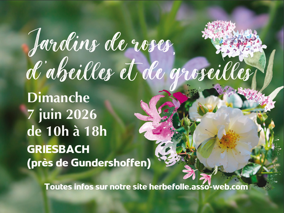 herbefolle.asso-web.com