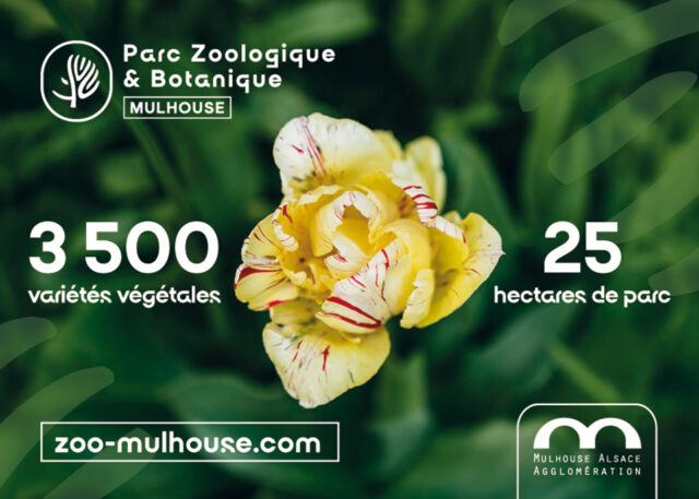 Marché aux plantes 2026