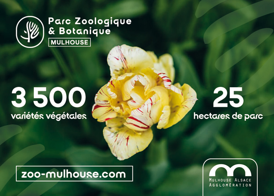 zoo-mulhouse.com