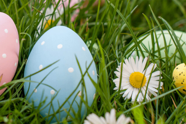 Chasse aux œufs dans le parc du musée