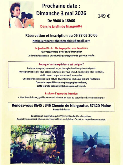 Le jardin-Miroir à Niargoutte