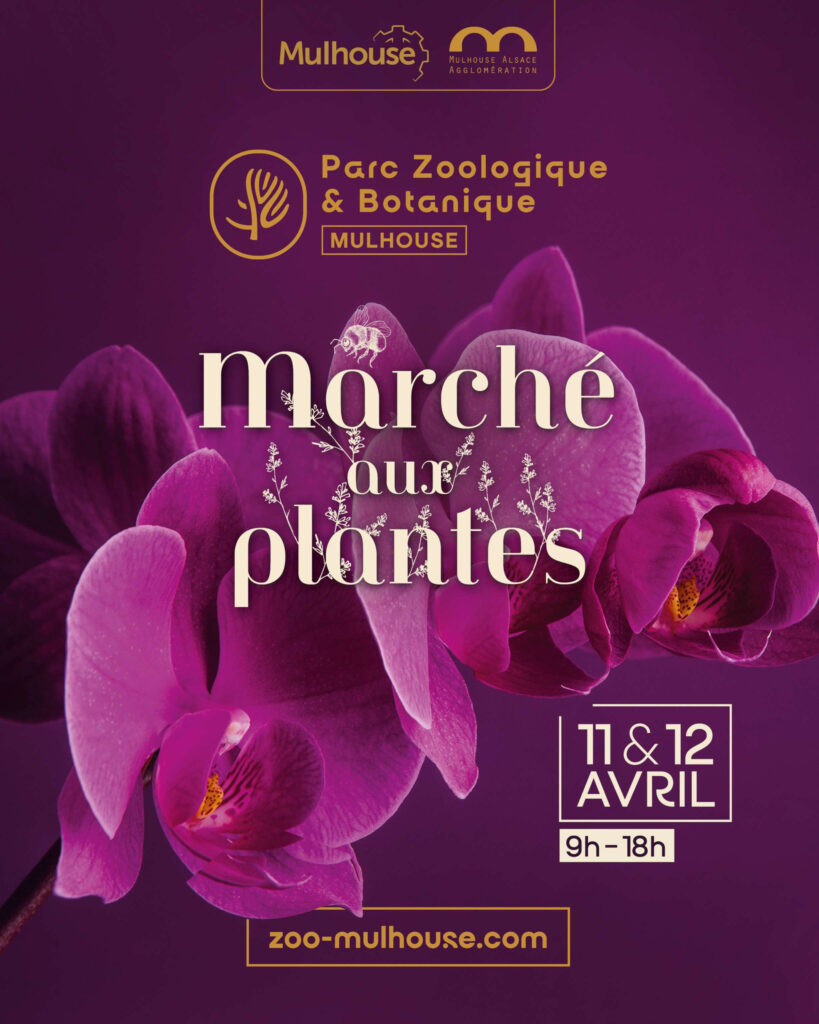 Marché aux plantes 2026 Mulhouse