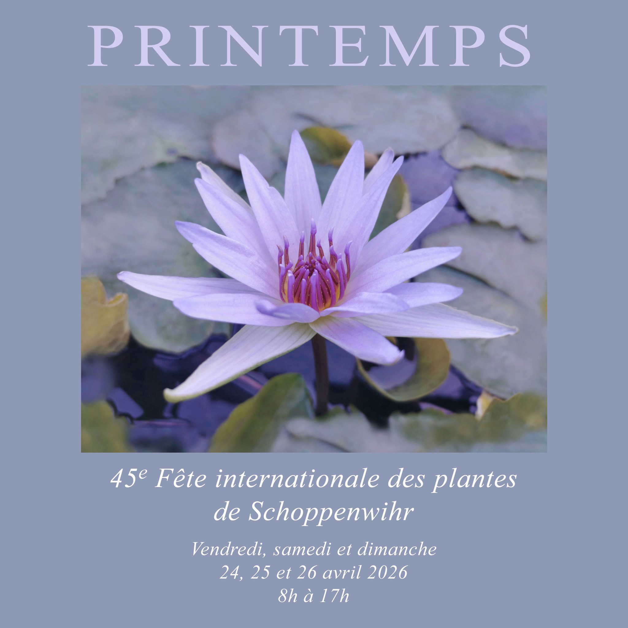 Fte internationale des plantes 2026 - Parcs et Jardins d'Alsace