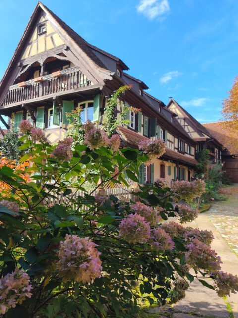 Salon de thé éphémère de Pâques