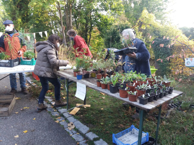 Troc de plantes au Jardin Botanique