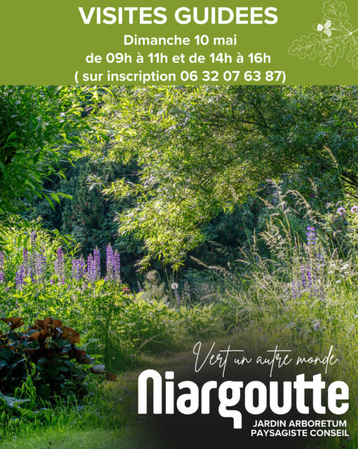 Visites guidées du jardin de Niargoutte