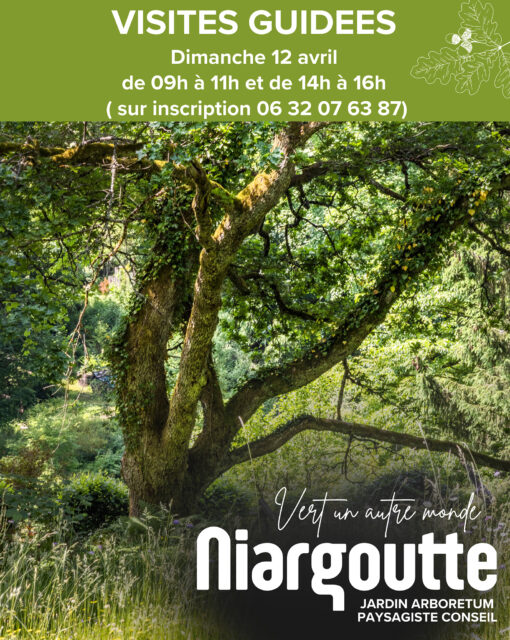 Visites guidées du jardin de Niargoutte