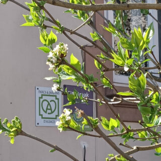 Le Jardin de la Tourelle - Plaque signalétique Parcs & Jardins d'Alsace