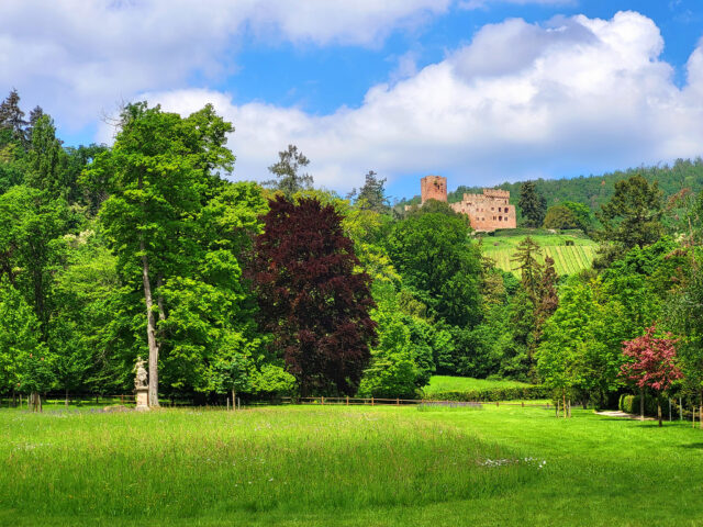 Le Parc du Manoir
