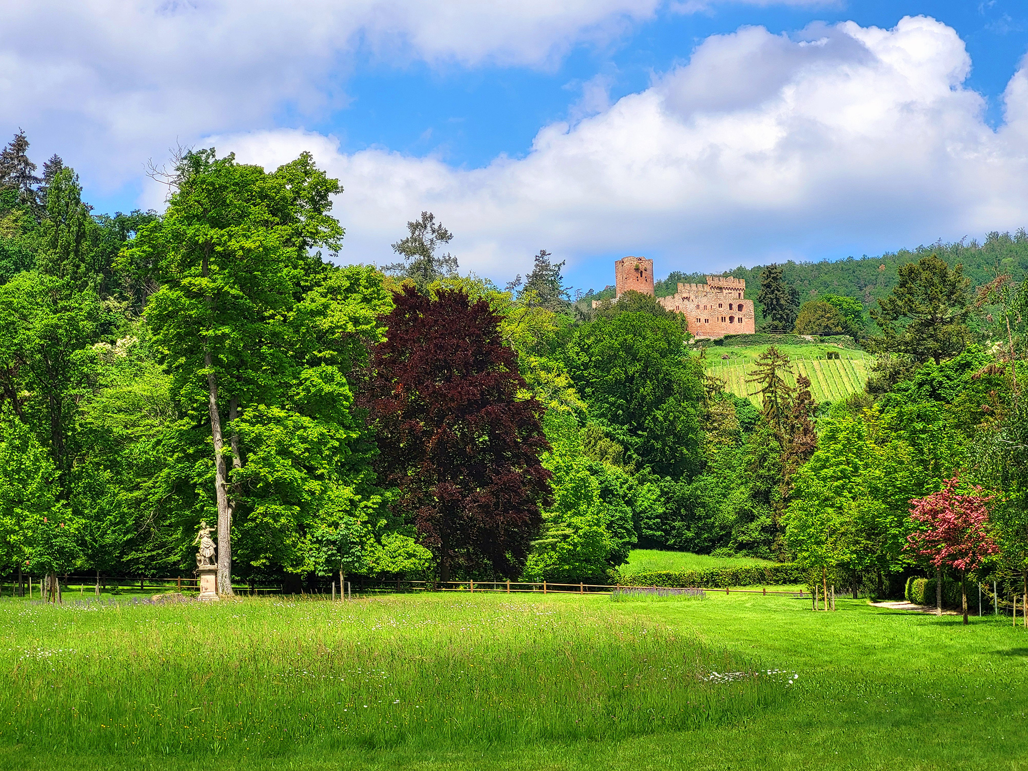 Le Parc du Manoir - Kintzheim