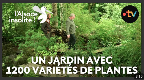France 3 Grand Est - L'Alsace insolite - Jardin Mil'feuilles