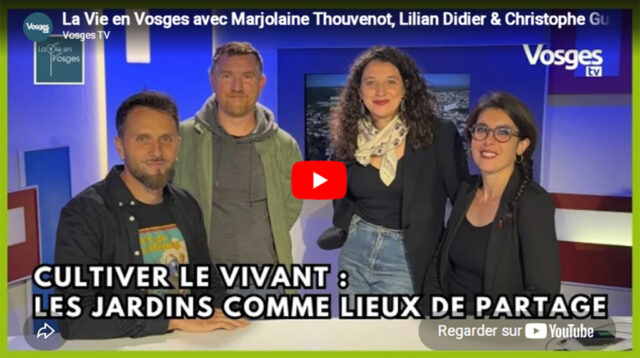 Vosges TV - Une Figue dans le Poirier