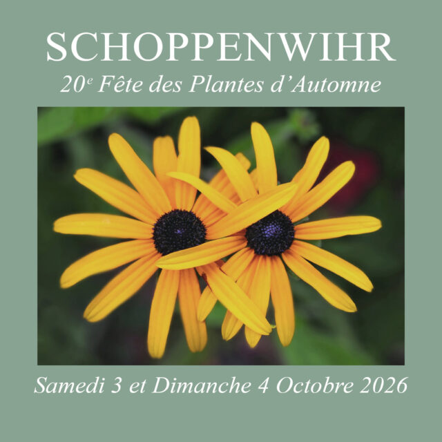 20e Fête des Plantes d'Automne à Schoppenwihr